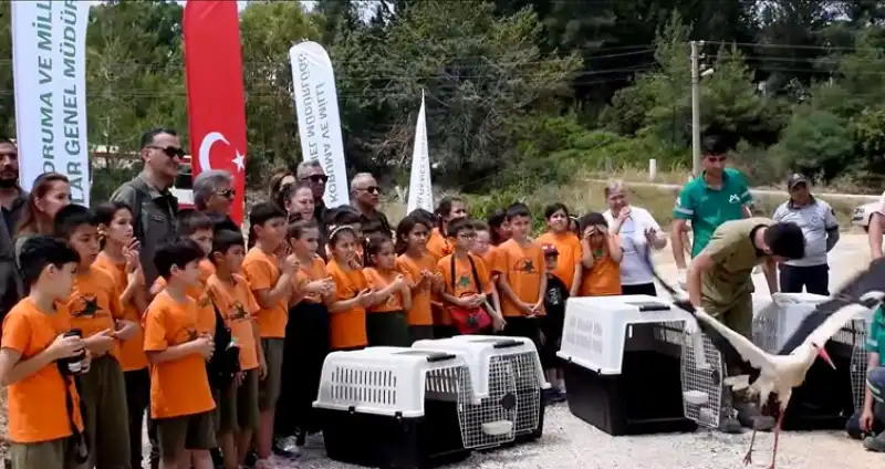 Yaban Hayvanları Yeniden Doğayla Buluştu