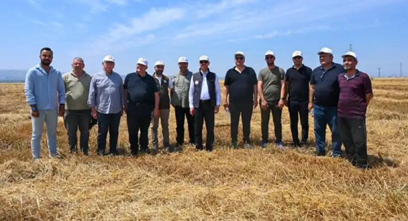 HMKÜ Tarımsal Araştırma Ve Uygulama Merkezinde Tahıl Hasadı Başladı