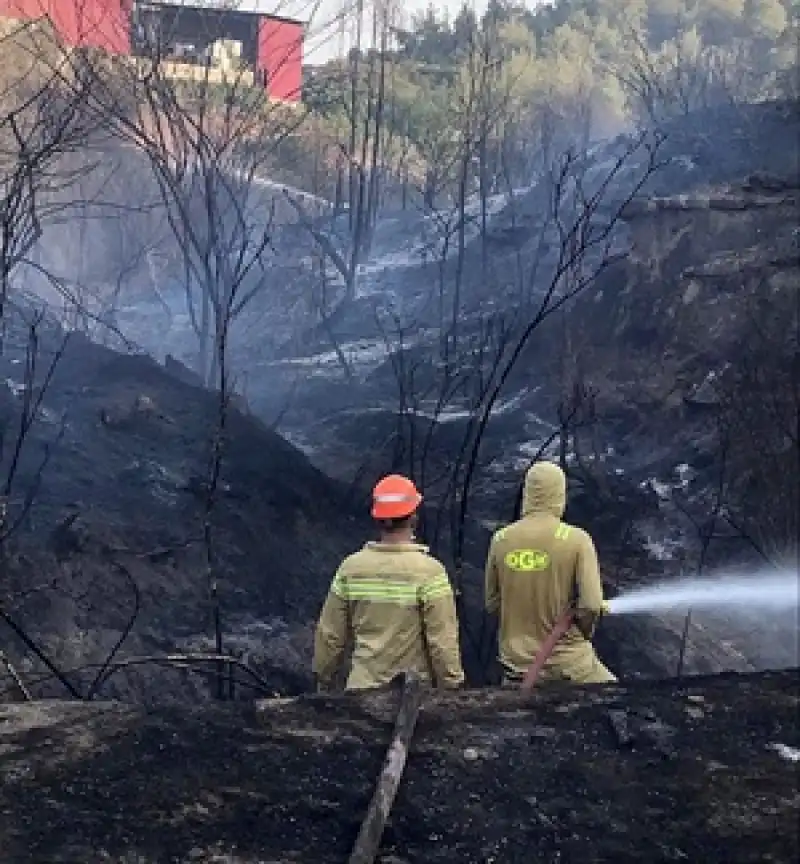 Dikkatsizlik Felaket Getiriyor: Ormanlar İçin Acil Uyarı 
