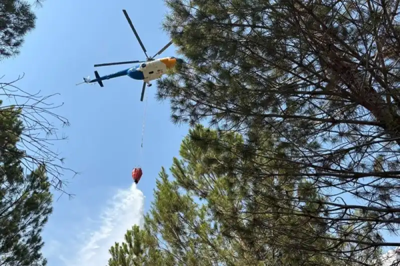 Dikkatsizlik Felaket Getiriyor: Ormanlar İçin Acil Uyarı