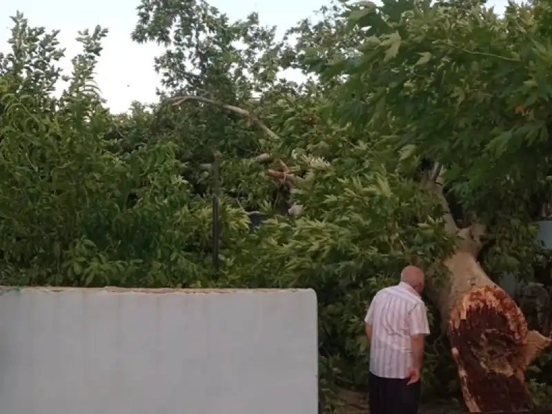 Hatay’da Fırtına Etkili Oldu: Ağaçlar Devrildi, Çatılar Hasar Gördü