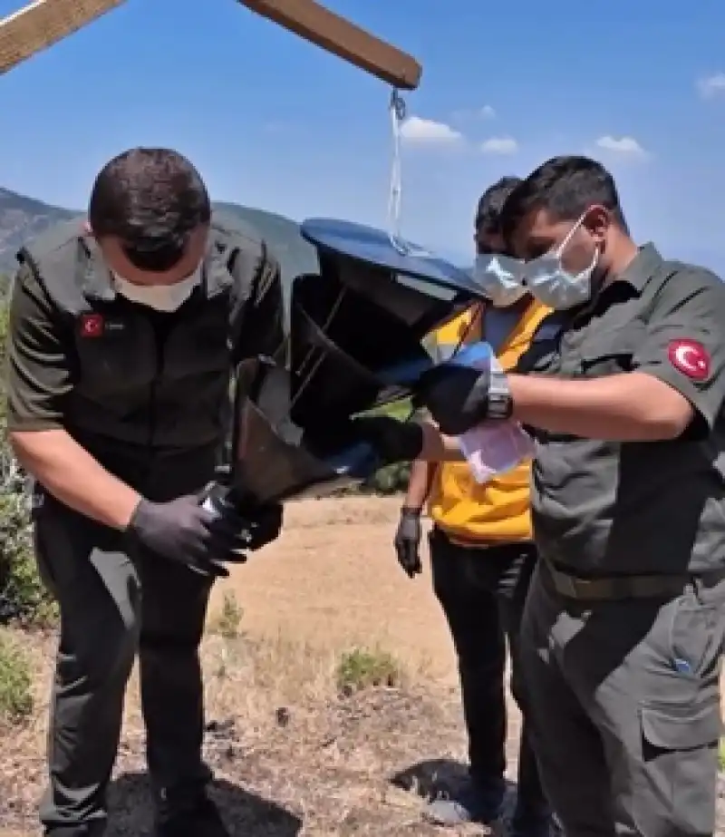 Hatay Ormanlarında Sürdürülebilir Gelecek İçin Seferberlik 