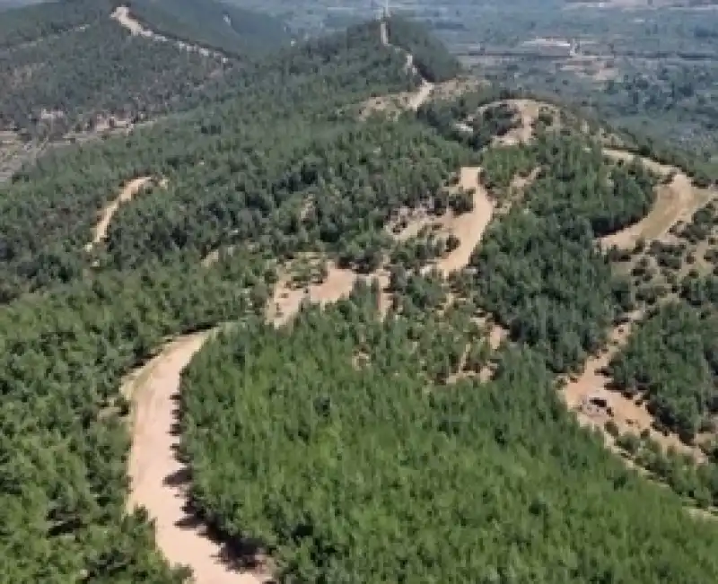 Hatay Ormanlarında Sürdürülebilir Gelecek İçin Seferberlik 