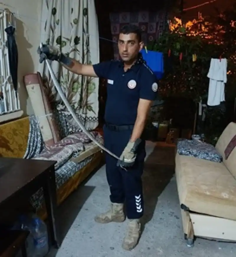 Yılanlar Evlerden Alındı Doğal Ortamına Bırakıldı
