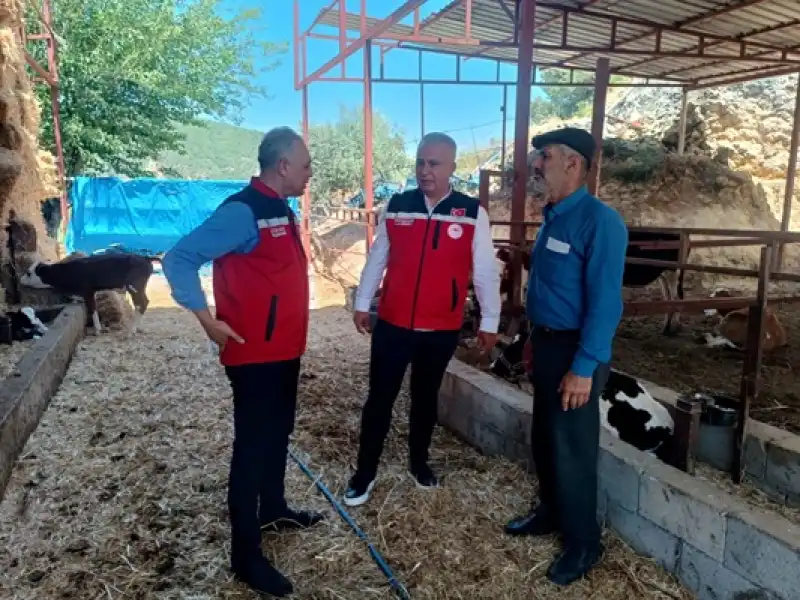 Antakya’da Hayvancılık Işletmesine Yerinde Inceleme