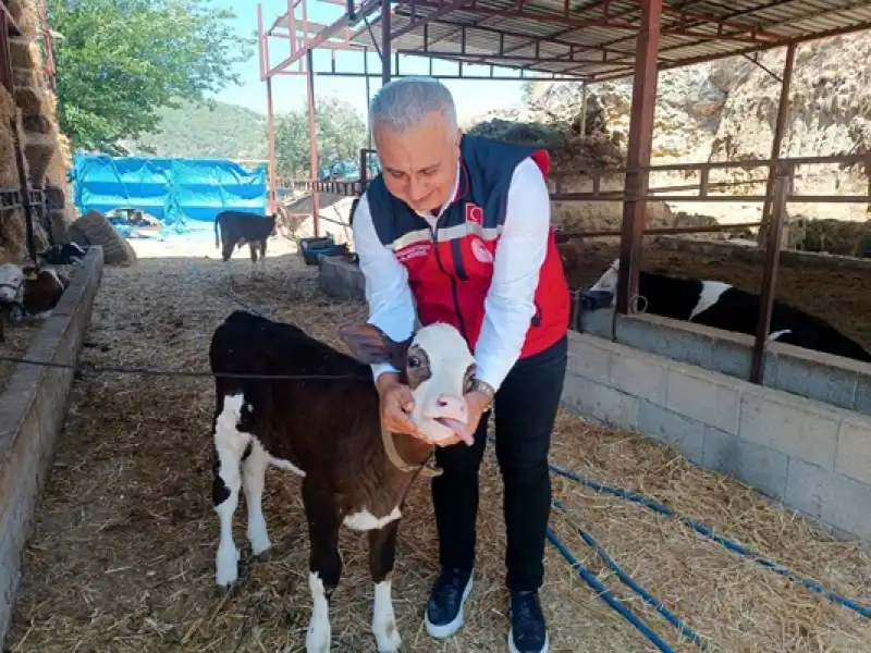 Antakya’da Hayvancılık Işletmesine Yerinde Inceleme