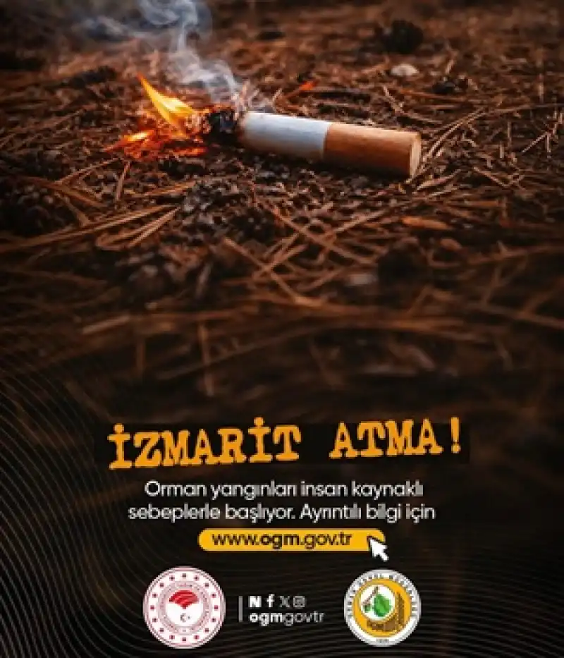 Uzmanlar Tek Tek Sıraladı: Orman Yangınlarını Önlemenin En Etkili Yolları