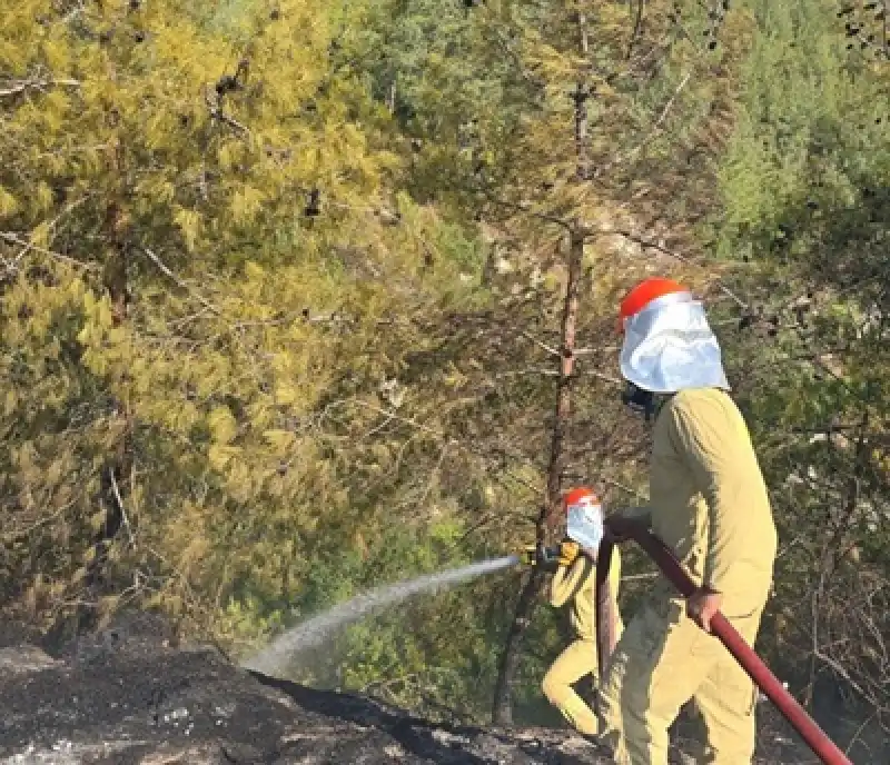 Uzmanlar Tek Tek Sıraladı: Orman Yangınlarını Önlemenin En Etkili Yolları