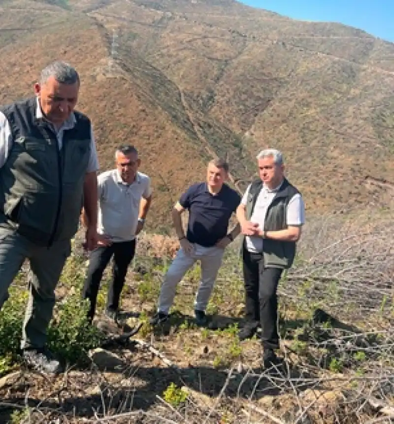 Hatay'da Orman Seferberliği: Genel Müdür Yardımcısı Sahada İnceleme Yaptı