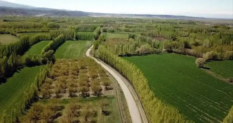 Hassa’daki 5 Mahalle İçin 2/B Arazi Satışı Çağrısı!
