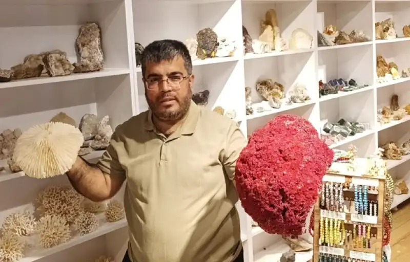 Doğanın Milyonlarca Yıllık Mirasını Tutkuyla Biriktiriyor