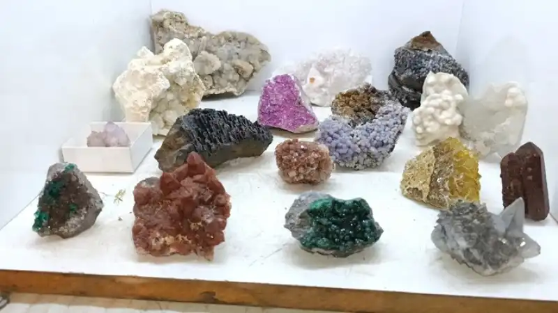 Doğanın Milyonlarca Yıllık Mirasını Tutkuyla Biriktiriyor