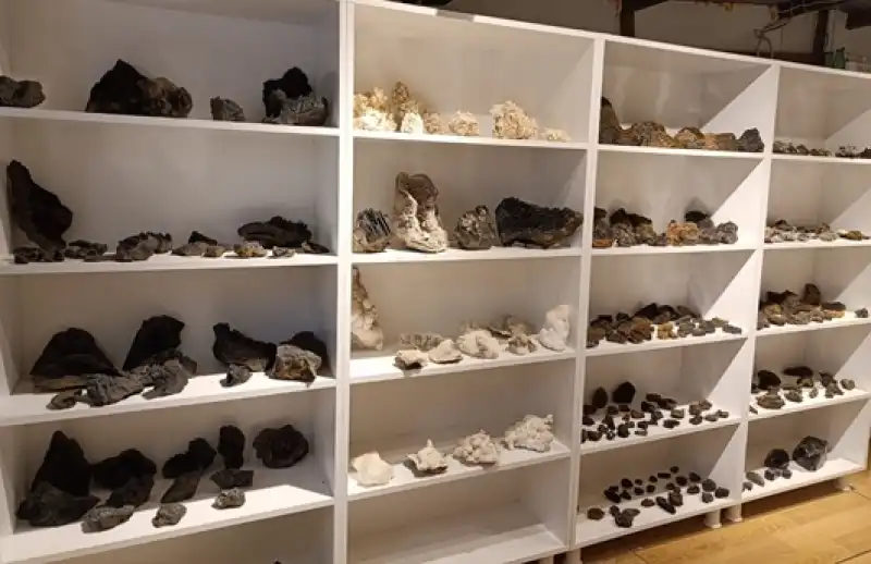 Doğanın Milyonlarca Yıllık Mirasını Tutkuyla Biriktiriyor