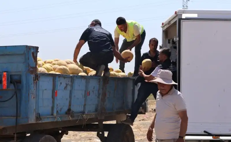 HBB’den Vatandaşlara 100 Ton Kavun