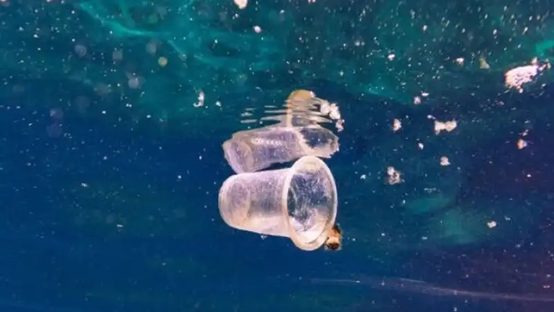 Mikroplastik Alarmı: Hatay'ın Da Aralarında Bulunduğu 4 İlde 47,6 Milyon Liralık Çevre Cezası