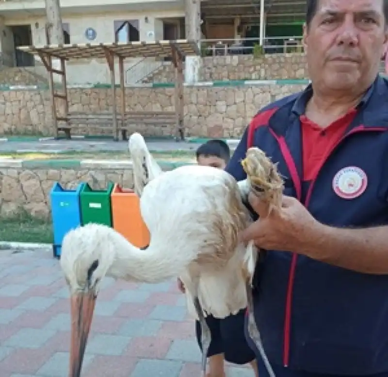 Hatay İtfaiyesi Yaralı Leyleğin İmdadına Yetişti