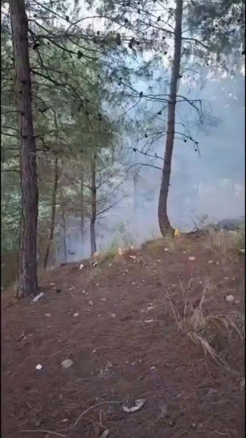 Yayladağı’nda Orman Yangını Korkuttu