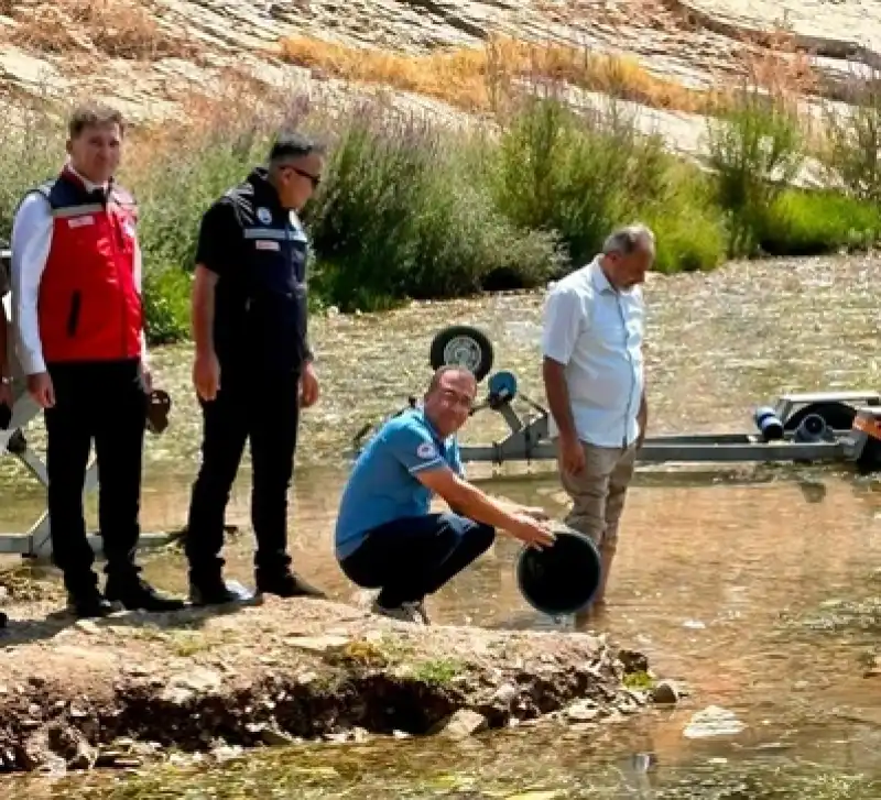 Hatay’daki Baraj Ve Göletlere 682 Bin Sazan Yavrusu Bırakıldı