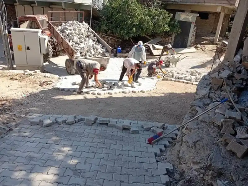 31 Ağustos- 6 Eylül 2026 Saha Çalışmalarımız