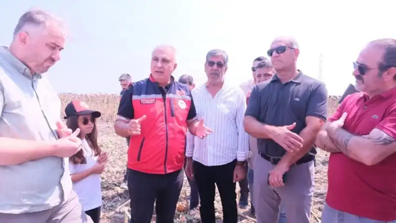 Ayçiçeği Tarlalarında Hasat Sevinci