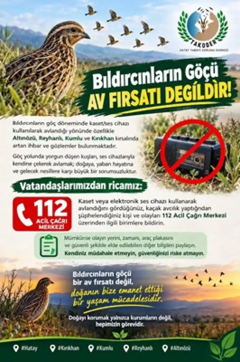 Bıldırcın Göçünde Kaçak Av Alarmı: Abdullah Öğünç’ten Kritik Çağrı!
