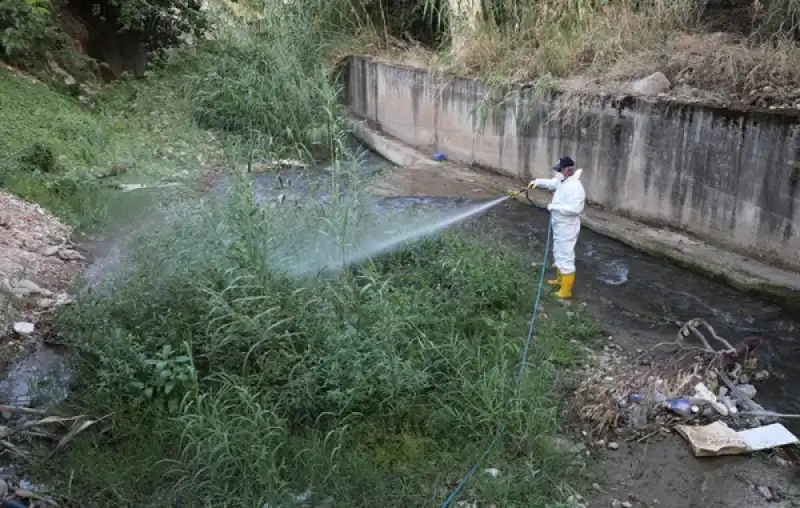 Hatay’da Haşere Ve Vektör Mücadelesi Aralıksız Sürüyor