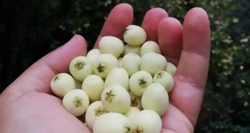 Sonbaharda Hatay’ın Doğasına Yolculuk