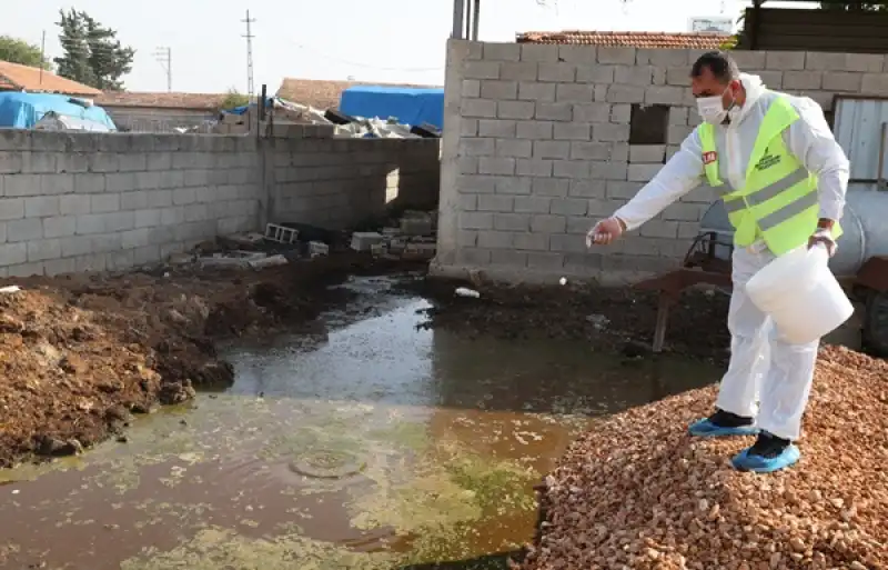 HBB’den şap Hastalığına Karşı Karasinek Mücadelesi