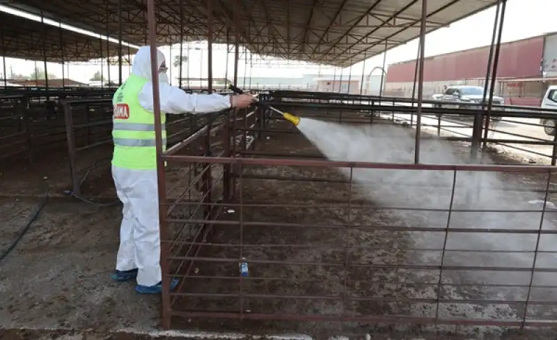 HBB’den şap Hastalığına Karşı Karasinek Mücadelesi