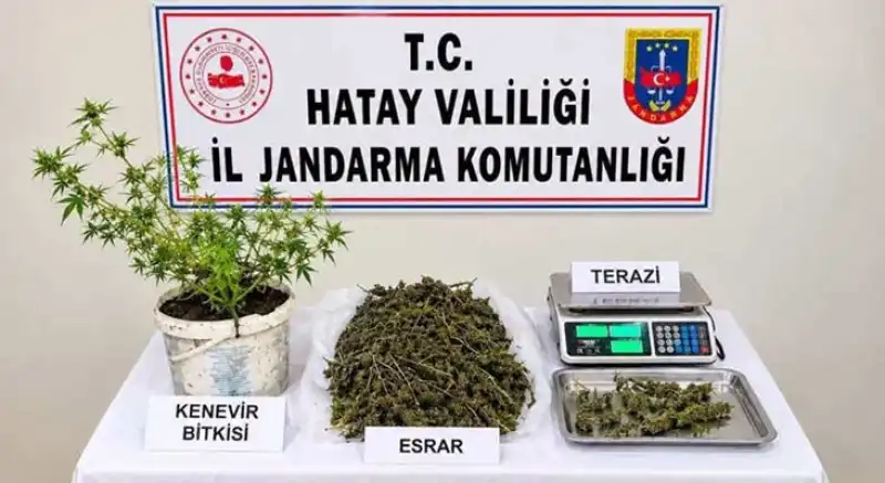 Ev Baskınında 3 Kilo 578 Gram Esrar Ele Geçirildi!