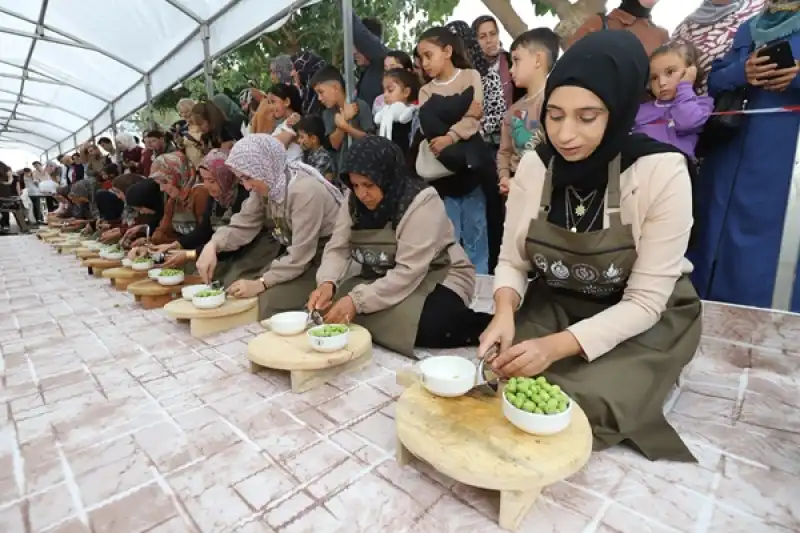 Zeytin Çekirdeği Çıkarma Yarışması Renkli Görüntülere Sahne Oldu
