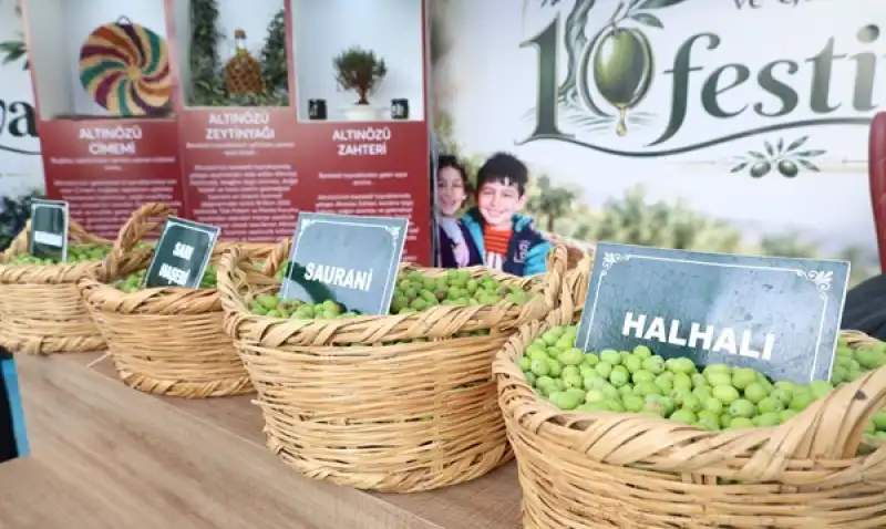 Zeytin Festivali’nde Lezzet Ve Eğlence Bir Arada