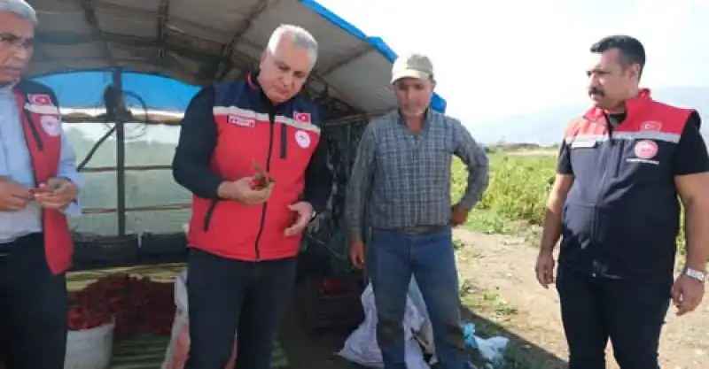 Müdür Türkmen Serada üreticilerle Buluştu