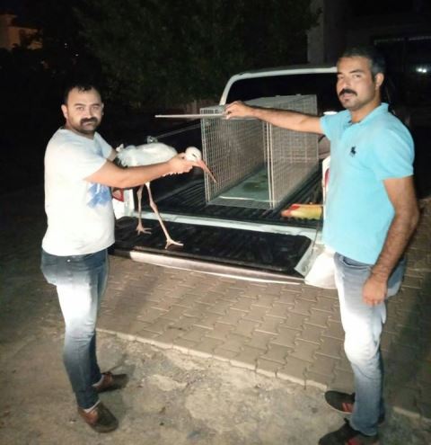 En genç kütüphane her yaşa hitap ediyor