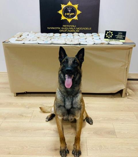  Otomobilde 11 kilo 380 gram esrar ele geçirildi