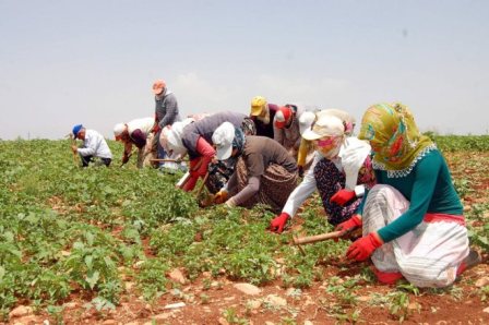 EN DÜŞÜK ÜCRETİ ALAN İŞÇİLER HATAY’DA