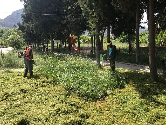 Küçükdalyan da çim biçme çalışması