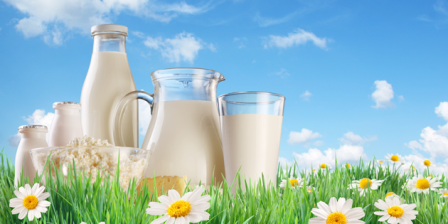 Bağışıklık sistemini güçlendirmek için günde 2 bardak süt