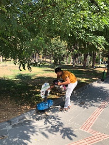 Antakya Belediyesi can dostlar için su ve mama bıraktı