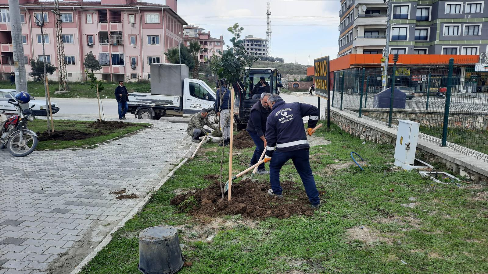 Antakya Belediyesinden ağaçlandırma çalışması