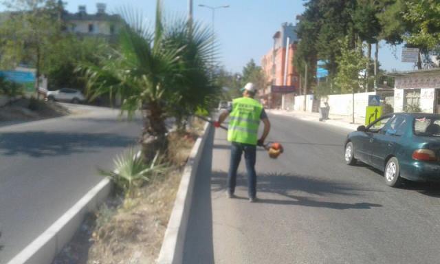 Defne Belediyesi refüjlerin bakımını yapıyor