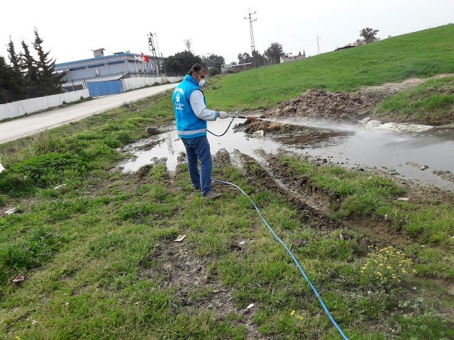 95 mahallede haşereye karşı ilaçlama sürüyor