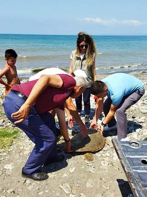 Yaralı caretta caretta tedaviye alındı