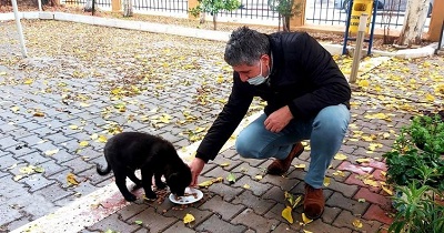 Daima sokak hayvanlarına sahip çıktık