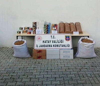 Kanserin 100 den fazla türü var