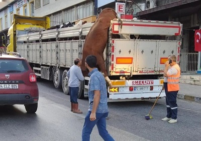 Atlamaya çalıştı, kaçamadı