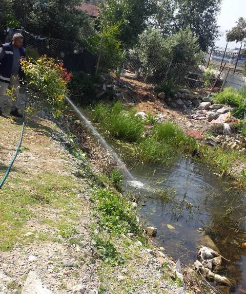 Dezenfekte ve larva mücadelesi eş zamanlı yapılıyor