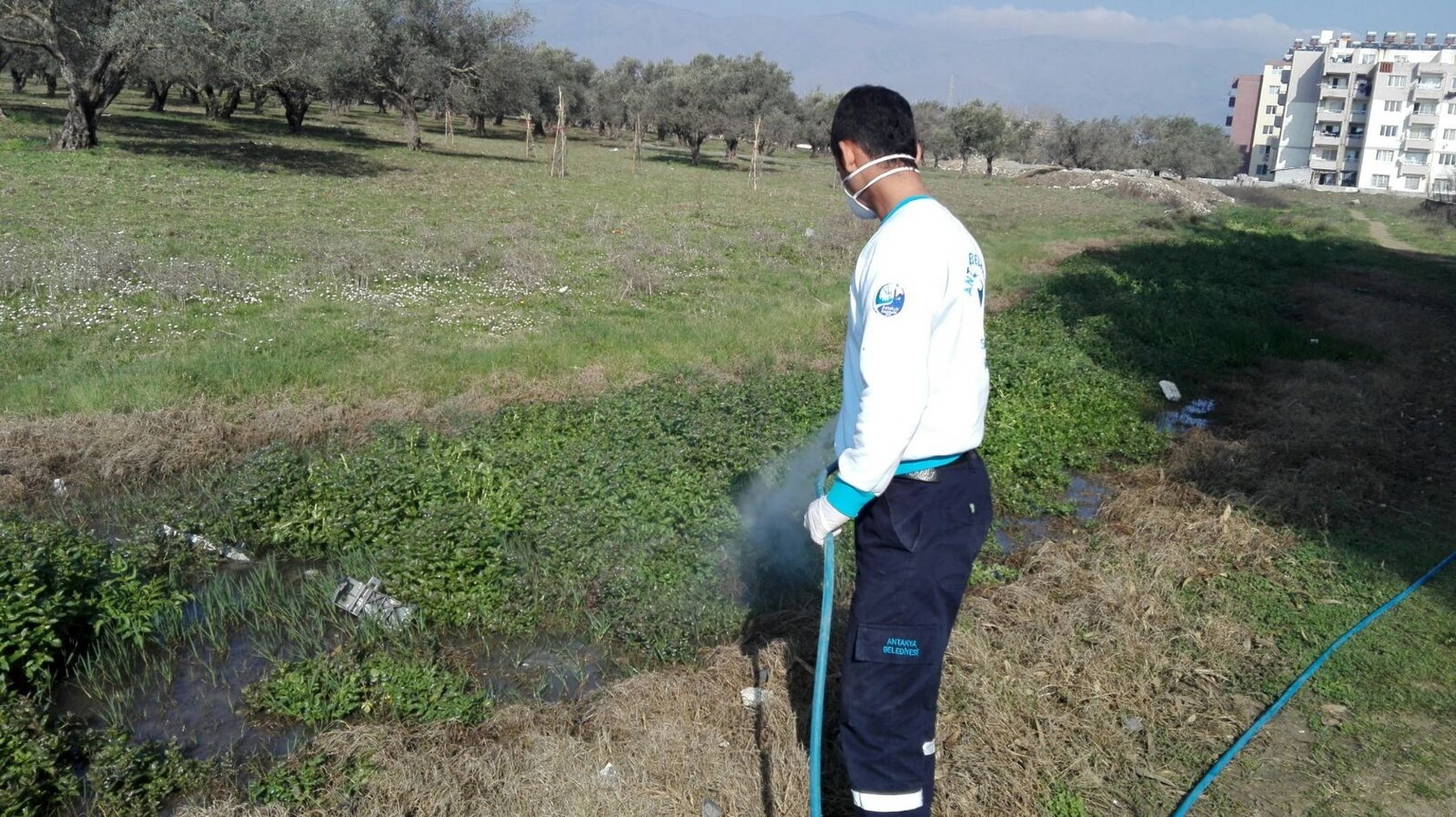 LARVA İLE MÜCADELE SÜRÜYOR