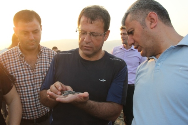 Caretta Carettalar Samandağ Sahilinden uğurlandı