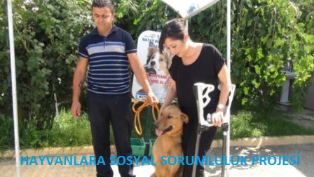 Protezi bizden yuvası sizden